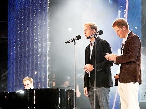 DVD NEUF SOUS BLISTER  CONCERT FOR DIANA